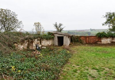 Bítozeves, Omnium, 2020