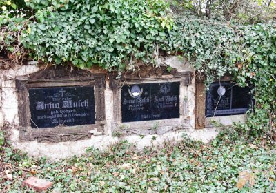 Bítozeves, Omnium, 2020