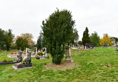 Bítozeves, Omnium, 2020