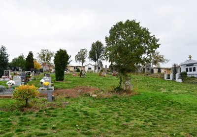 Bítozeves, Omnium, 2020