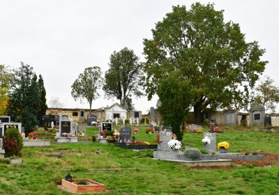 Bítozeves, Omnium, 2020