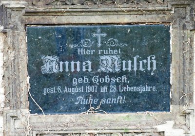 Bítozeves, Omnium, 2020