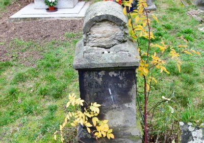 Bítozeves, Omnium, 2020