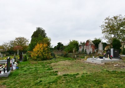 Bítozeves, Omnium, 2020