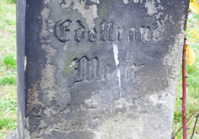 Bítozeves, Omnium, 2020