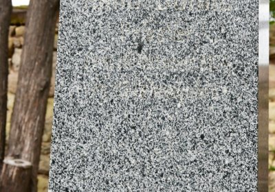 Bítozeves, Omnium, 2020