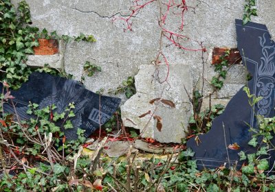 Bítozeves, Omnium, 2020