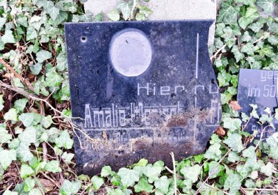 Bítozeves, Omnium, 2020