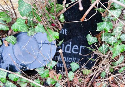 Bítozeves, Omnium, 2020