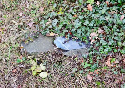 Bítozeves, Omnium, 2020