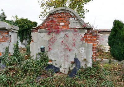 Bítozeves, Omnium, 2020