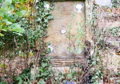 Bítozeves, Omnium, 2020