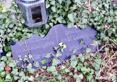 Bítozeves, Omnium, 2020