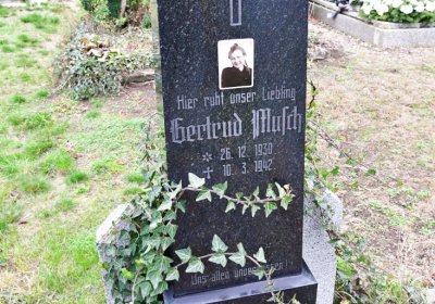 Bítozeves, Omnium, 2020