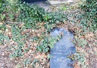 Bítozeves, Omnium, 2020