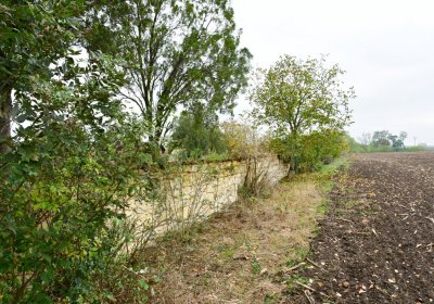 Bítozeves, Omnium, 2020