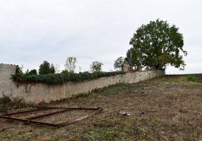 Bítozeves, Omnium, 2020