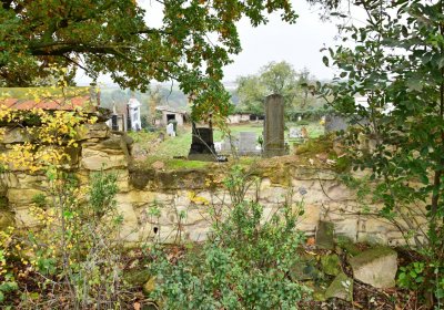 Bítozeves, Omnium, 2020