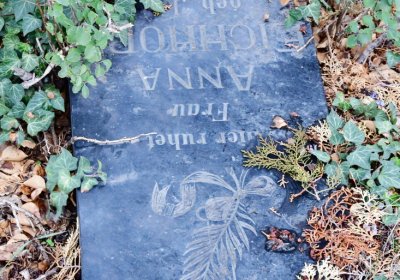 Bítozeves, Omnium, 2020