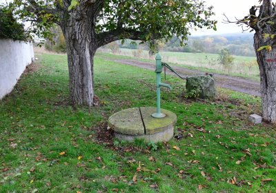 Bítozeves, Omnium, 2020