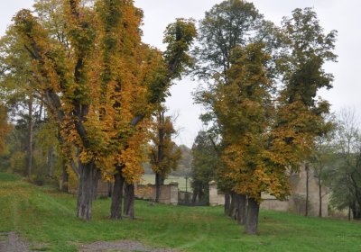 Tatinná, Omnium, 2020