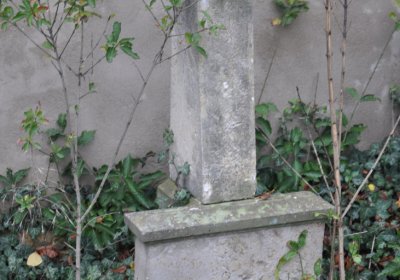 Tatinná, Omnium, 2020