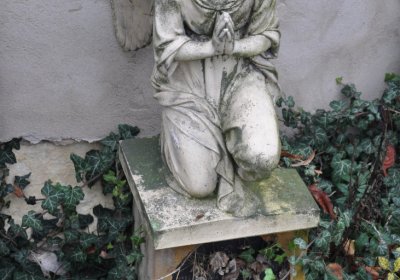 Tatinná, Omnium, 2020