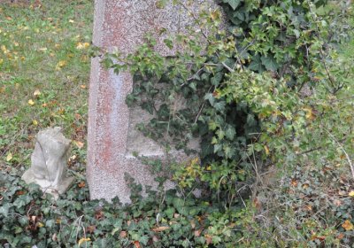 Tatinná, Omnium, 2020