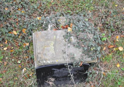 Tatinná, Omnium, 2020