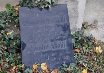 Tatinná, Omnium, 2020