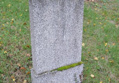 Tatinná, Omnium, 2020