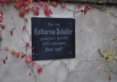 Tatinná, Omnium, 2020