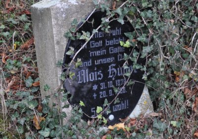 Tatinná, Omnium, 2020