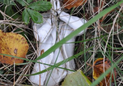 Tatinná, Omnium, 2020