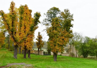 Tatinná, Omnium, 2020