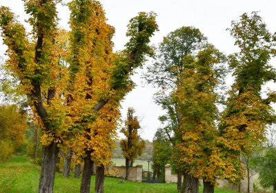 Tatinná, Omnium, 2020