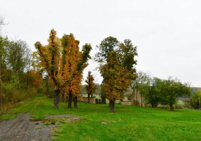 Tatinná, Omnium, 2020