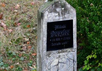 Tatinná, Omnium, 2020