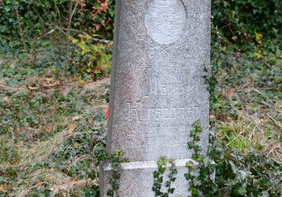 Tatinná, Omnium, 2020