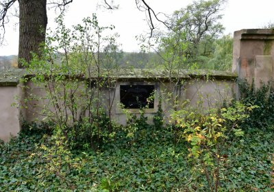 Tatinná, Omnium, 2020