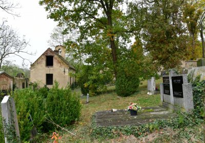 Tatinná, Omnium, 2020