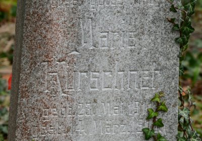 Tatinná, Omnium, 2020