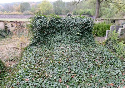 Tatinná, Omnium, 2020