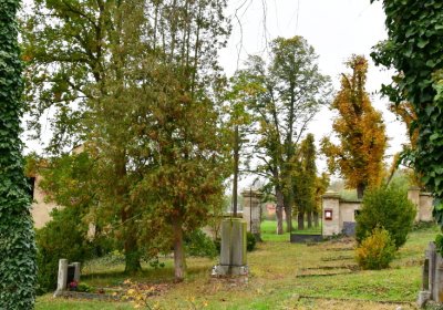 Tatinná, Omnium, 2020