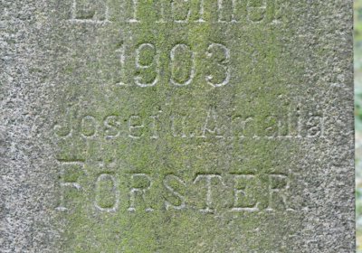 Tatinná, Omnium, 2020