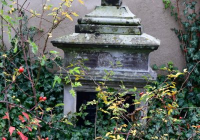 Tatinná, Omnium, 2020