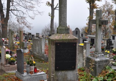 Domoušice, Omnium, 2020