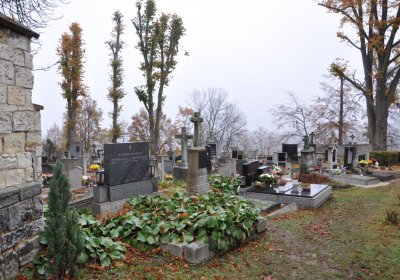 Domoušice, Omnium, 2020