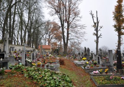 Domoušice, Omnium, 2020