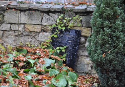 Domoušice, Omnium, 2020